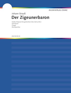 Buchcover Der Zigeunerbaron  | EAN 9783920201290 | ISBN 3-920201-29-9 | ISBN 978-3-920201-29-0