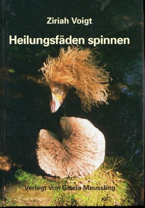 Buchcover Heilungsfäden spinnen | Ziriah Voigt | EAN 9783922129318 | ISBN 3-922129-31-5 | ISBN 978-3-922129-31-8