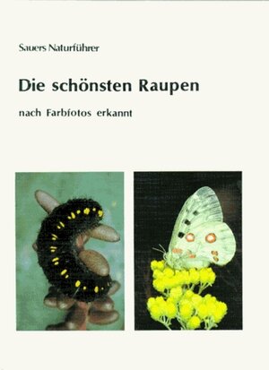 Buchcover Die schönsten Raupen | Frieder Sauer | EAN 9783923010196 | ISBN 3-923010-19-2 | ISBN 978-3-923010-19-6