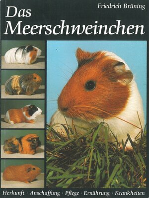 Buchcover Das Meerschweinchen | Friedrich Brüning | EAN 9783923269358 | ISBN 3-923269-35-8 | ISBN 978-3-923269-35-8