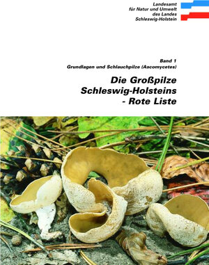 Buchcover Rote Liste Die Großpilze Schleswig-Holsteins | Matthias Lüderitz | EAN 9783923339631 | ISBN 3-923339-63-1 | ISBN 978-3-923339-63-1