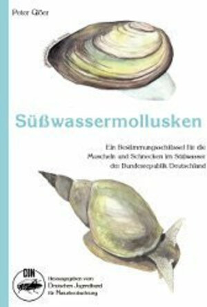 Buchcover Süsswassermollusken | Peter Glöer | EAN 9783923376025 | ISBN 3-923376-02-2 | ISBN 978-3-923376-02-5