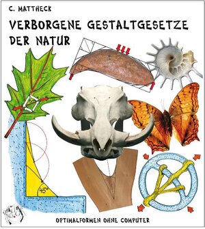 Buchcover Verborgene Gestaltgesetze der Natur | Claus Mattheck | EAN 9783923704538 | ISBN 3-923704-53-4 | ISBN 978-3-923704-53-8