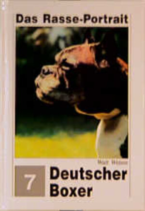 Deutscher Boxer