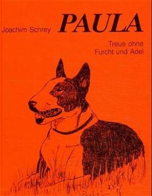 Buchcover Paula | Joachim Schrey | EAN 9783924008420 | ISBN 3-924008-42-6 | ISBN 978-3-924008-42-0