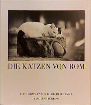 Die Katzen von Rom