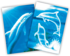Buchcover Delphine | Holeman | EAN 9783924161880 | ISBN 3-924161-88-7 | ISBN 978-3-924161-88-0