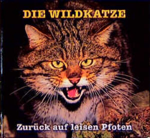 Die Wildkatze: Zurück auf leisen Pfoten