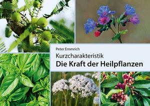 Buchcover Die Kraft der Heilpflanzen | Peter Emmrich | EAN 9783925207464 | ISBN 3-925207-46-5 | ISBN 978-3-925207-46-4