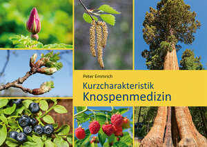 Buchcover Kurzcharakteristik Knospenmedizin | Peter Emmrich | EAN 9783925207549 | ISBN 3-925207-54-6 | ISBN 978-3-925207-54-9