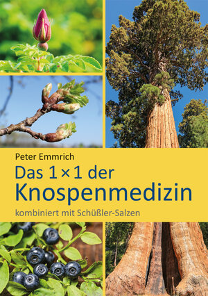 Buchcover Das 1 × 1 der Knospenmedizin | Peter Emmrich | EAN 9783925207556 | ISBN 3-925207-55-4 | ISBN 978-3-925207-55-6