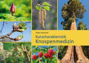 Buchcover Knospenmedizin | Peter Emmrich | EAN 9783925207617 | ISBN 3-925207-61-9 | ISBN 978-3-925207-61-7