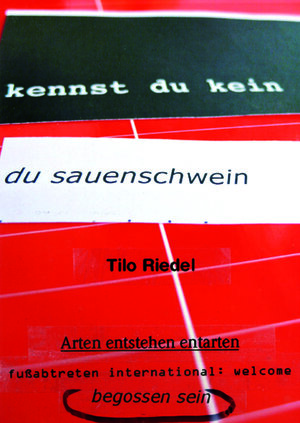 Buchcover so viele Heft 42 | Tilo Riedel | EAN 9783928804424 | ISBN 3-928804-42-1 | ISBN 978-3-928804-42-4