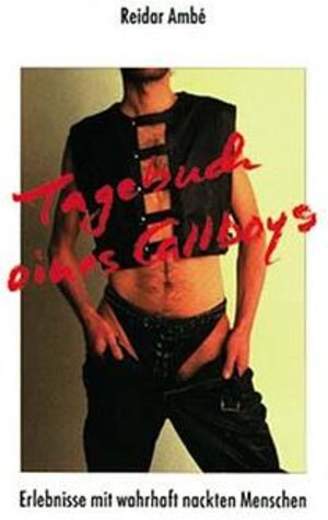 Buchcover Tagebuch eines Callboys | R Ambe | EAN 9783929017229 | ISBN 3-929017-22-9 | ISBN 978-3-929017-22-9