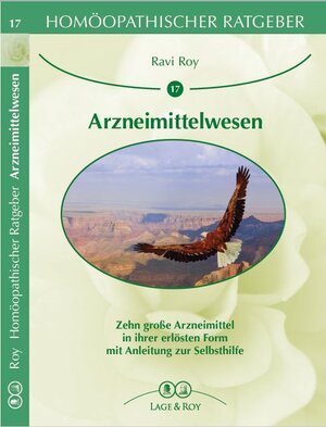 Buchcover Homöopatischer Ratgeber Arzneimittelwesen | Ravi Roy | EAN 9783929108170 | ISBN 3-929108-17-8 | ISBN 978-3-929108-17-0