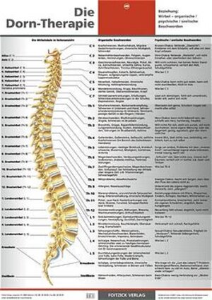 Die Dorn-Therapie. Poster 59,4 x 84 cm