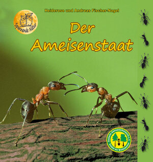 Buchcover Der Ameisenstaat | Heiderose Fischer-Nagel | EAN 9783930038138 | ISBN 3-930038-13-7 | ISBN 978-3-930038-13-8