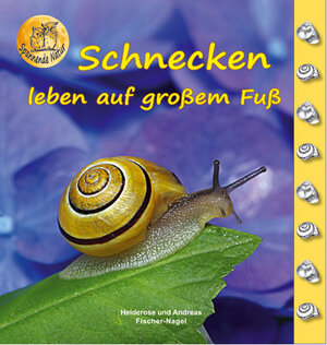 Buchcover Schnecken | Heiderose Fischer-Nagel | EAN 9783930038220 | ISBN 3-930038-22-6 | ISBN 978-3-930038-22-0