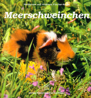 Buchcover Meerschweinchen | Heiderose Fischer-Nagel | EAN 9783930038237 | ISBN 3-930038-23-4 | ISBN 978-3-930038-23-7