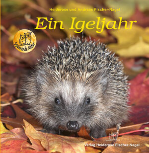 Buchcover Ein Igeljahr | Heiderose Fischer-Nagel | EAN 9783930038251 | ISBN 3-930038-25-0 | ISBN 978-3-930038-25-1