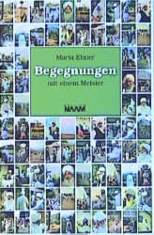 Buchcover Begegnungen mit einem Meister | Maria Ebner | EAN 9783930103317 | ISBN 3-930103-31-1 | ISBN 978-3-930103-31-7