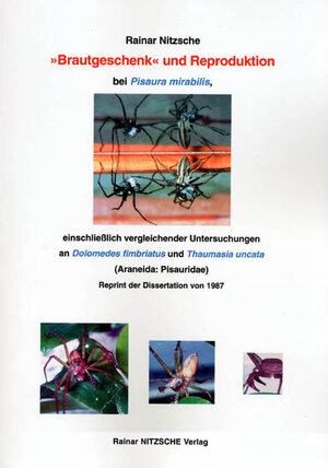 Buchcover 'Brautgeschenk' und Reproduktion bei Pisaura mirabilis, einschließlich vergleichender Untersuchungen an Dolomedes fimbriatus und Thaumasia uncata (Araneida: Pisauridae) | Rainar Nitzsche | EAN 9783930304745 | ISBN 3-930304-74-0 | ISBN 978-3-930304-74-5