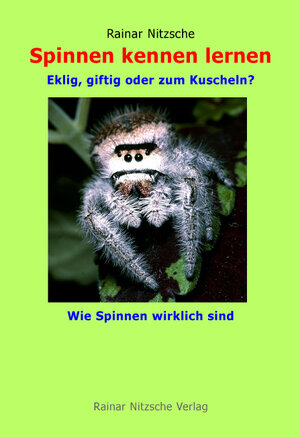 Buchcover Spinnen kennen lernen | Rainar Nitzsche | EAN 9783930304936 | ISBN 3-930304-93-7 | ISBN 978-3-930304-93-6