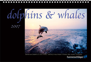 Buchcover dolphins & whales 2007  | EAN 9783930473717 | ISBN 3-930473-71-2 | ISBN 978-3-930473-71-7