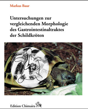 Untersuchungen zur vergleichenden Morphologie des Gastrointestinaltraktes der Schildkröten