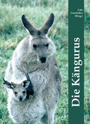 Buchcover Die Kängurus  | EAN 9783930831302 | ISBN 3-930831-30-9 | ISBN 978-3-930831-30-2