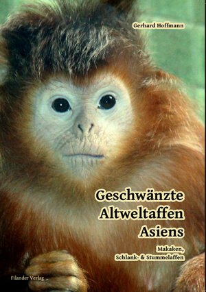 Buchcover Geschwänzte Altweltaffen Asiens | Gerhard Hoffmann | EAN 9783930831944 | ISBN 3-930831-94-5 | ISBN 978-3-930831-94-4