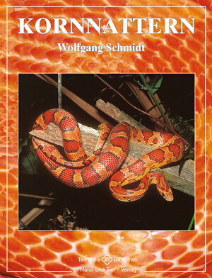 Buchcover Kornnattern | Wolfgang Schmidt | EAN 9783931587017 | ISBN 3-931587-01-0 | ISBN 978-3-931587-01-7