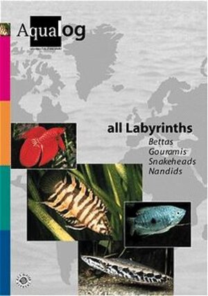 Buchcover Aqualog. Reference fish of the world / All Labyrinths | Frank Schäfer | EAN 9783931702212 | ISBN 3-931702-21-9 | ISBN 978-3-931702-21-2