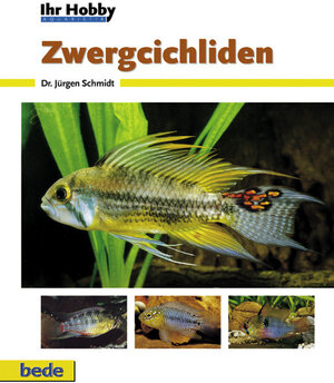 Buchcover Zwergcichliden | Jürgen Schmidt | EAN 9783931792299 | ISBN 3-931792-29-3 | ISBN 978-3-931792-29-9
