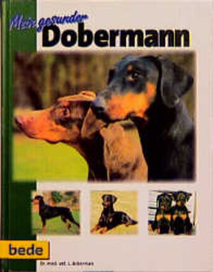 Buchcover Mein gesunder Dobermann | L Ackerman | EAN 9783931792558 | ISBN 3-931792-55-2 | ISBN 978-3-931792-55-8