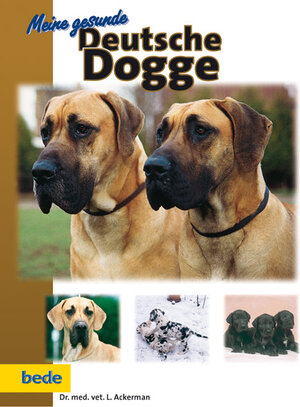 Buchcover Meine gesunde Deutsche Dogge | Lowell Ackerman | EAN 9783931792640 | ISBN 3-931792-64-1 | ISBN 978-3-931792-64-0