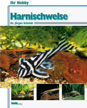 Buchcover Harnischwelse | Jürgen Schmidt | EAN 9783931792671 | ISBN 3-931792-67-6 | ISBN 978-3-931792-67-1
