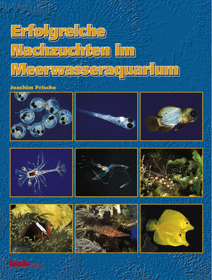 Erfolgreiche Nachzuchten im Meerwasseraquarium