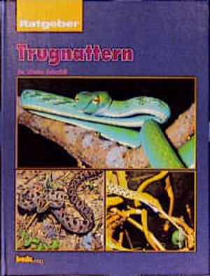 Buchcover Ratgeber Trugnattern | Dieter Schmidt | EAN 9783931792893 | ISBN 3-931792-89-7 | ISBN 978-3-931792-89-3