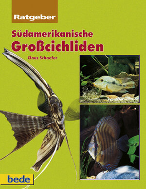 Buchcover Südamerikanische Grosscichliden | Claus Schaefer | EAN 9783931792992 | ISBN 3-931792-99-4 | ISBN 978-3-931792-99-2