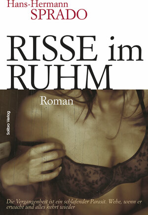 Buchcover Risse im Ruhm | Hans-Hermann Sprado | EAN 9783932927676 | ISBN 3-932927-67-2 | ISBN 978-3-932927-67-6