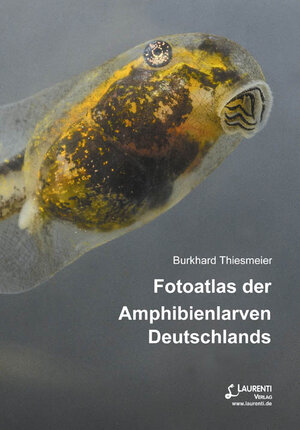 Buchcover Fotoatlas der Amphibienlarven Deutschlands | Burkhard Thiesmeier | EAN 9783933066534 | ISBN 3-933066-53-0 | ISBN 978-3-933066-53-4