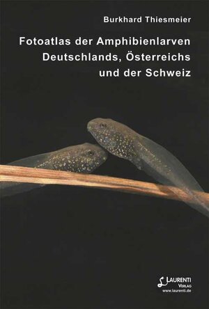 Buchcover Fotoatlas der Amphibienlarven Deutschlands, Österreichs und der Schweiz | Burkhard Thiesmeier | EAN 9783933066626 | ISBN 3-933066-62-X | ISBN 978-3-933066-62-6