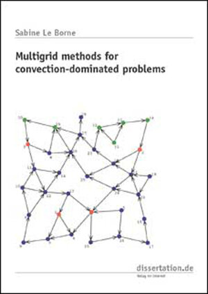 Buchcover Multigrid Methods for Convection-Dominated Problems | Sabine Leborne | EAN 9783933342560 | ISBN 3-933342-56-2 | ISBN 978-3-933342-56-0