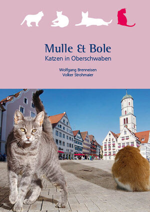 Buchcover Mulle & Bole | Wolfgang Brenneisen | EAN 9783933614988 | ISBN 3-933614-98-8 | ISBN 978-3-933614-98-8