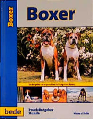 Boxer, Praxisratgeber