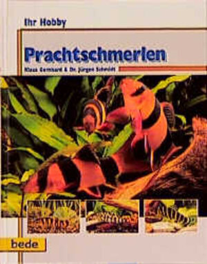 Buchcover Ihr Hobby Prachtschmerlen | Klaus Gernhard | EAN 9783933646484 | ISBN 3-933646-48-0 | ISBN 978-3-933646-48-4