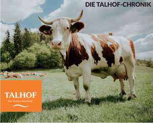 Buchcover Die Talhof-Chronik | Tobias Birken | EAN 9783934104907 | ISBN 3-934104-90-8 | ISBN 978-3-934104-90-7