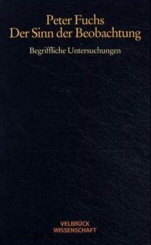 Der Sinn der Beobachtung: Begriffliche Untersuchungen