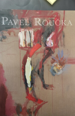 Buchcover Pavel Roucka | Martin Angerer | EAN 9783935052603 | ISBN 3-935052-60-X | ISBN 978-3-935052-60-3